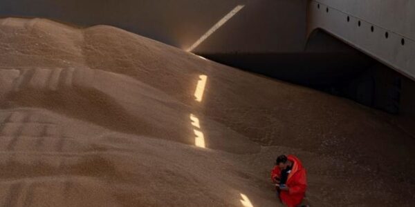 Польща пожалілася в Раду ЄС на агроімпорт з України - ЗМІ