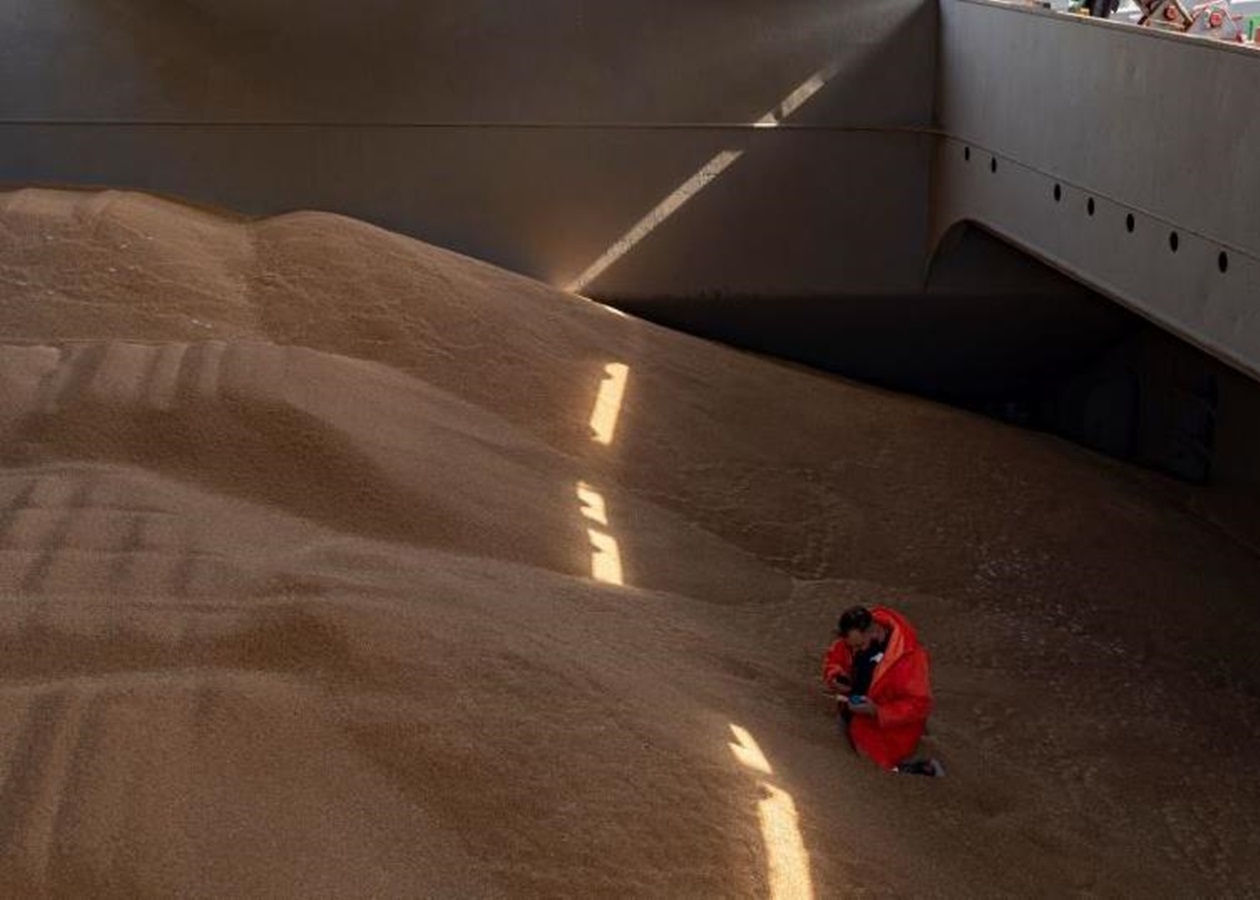 Польща пожалілася в Раду ЄС на агроімпорт з України - ЗМІ