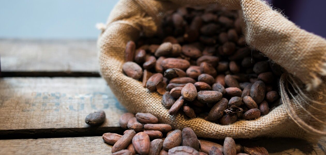 Ціни на какао впали до мінімуму з 2023-го