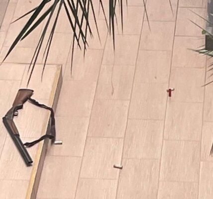 В Росії студент улаштував стрілянину в технікумі: є загиблий і потерпілі