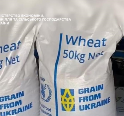 Україна передала Пакистану 1850 тонн пшениці у межах гумдопомоги