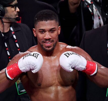 Джошуа розглядає можливість реваншу з Вайтом