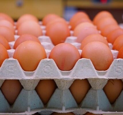 Експорт українських яєць досяг 5-річного максимуму