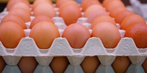 Експорт українських яєць досяг 5-річного максимуму