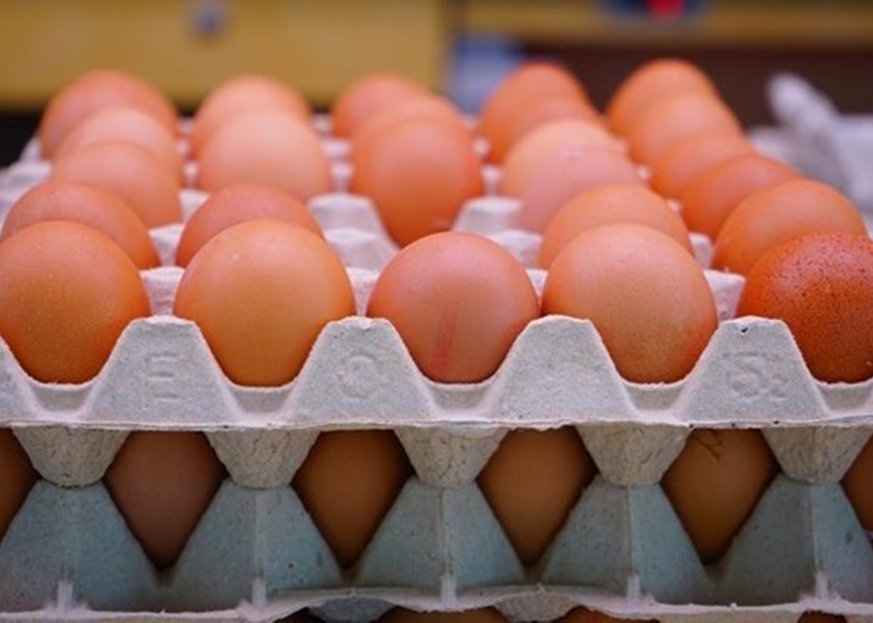 Експорт українських яєць досяг 5-річного максимуму