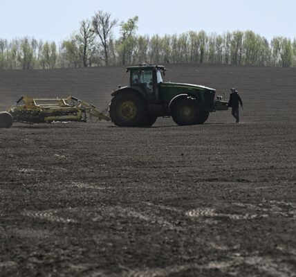 Аграрії України прискорили темпи весняної сівби