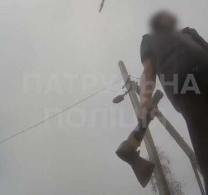 В Запоріжжі чоловік напав на поліцію під час затримання підозрюваного в ДТП