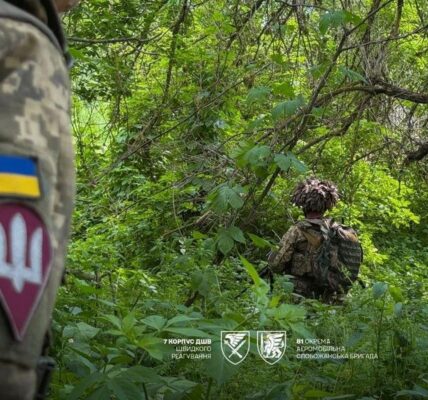 ЗСУ спростували фейк РФ щодо села Гранів на Харківщині