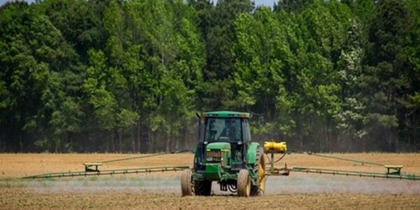 Українські аграрії засіяли 97% площ зернових