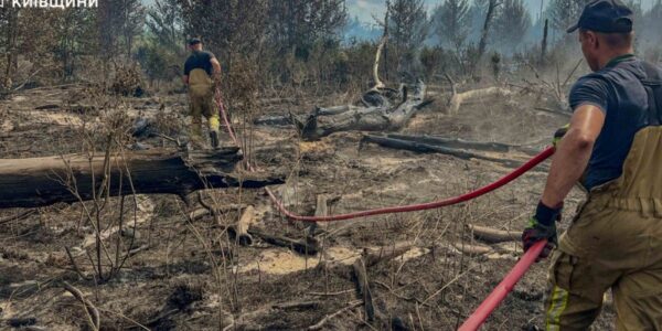 Масштабні пожежі в Чорнобильській зоні: що кажуть рятувальники