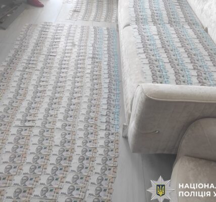 У Києві викрито мережу фіктивного працевлаштування у приватних ліцеях