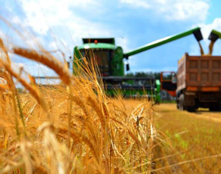 Через російські удари по портах експорт агропродукції України може впасти більш ніж удвічі, — Bloomberg