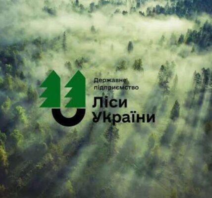 «Ліси України» витратять 1,92 мільйона гривень на пошук нового гендиректора