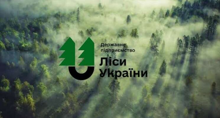 «Ліси України» витратять 1,92 мільйона гривень на пошук нового гендиректора
