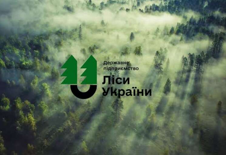 «Ліси України» витратять 1,92 мільйона гривень на пошук нового гендиректора