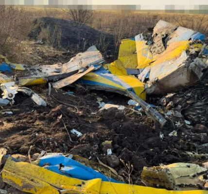 ДБР розслідує падіння МіГ-29 на Одещині: тривають пошуки «чорної скриньки»