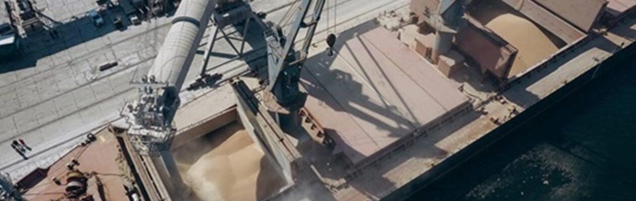 Названо обсяг агроекспорту України у вересні