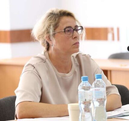 Кросовер за ціною Lanos та 34 рішення «на лікарняному»: ГРД визнала недоброчесною суддю Тамару Комшелюк