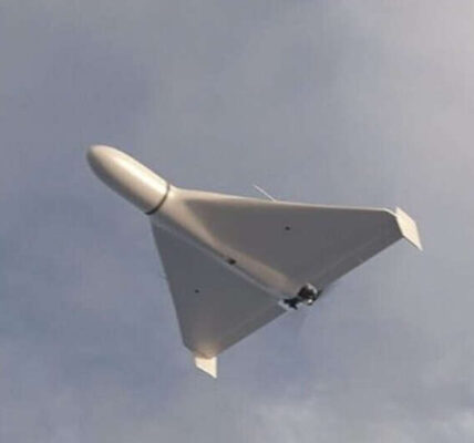 У Румунії знайшли уламки багатьох дронів, частина з них була з бойовою частиною — Міноборони