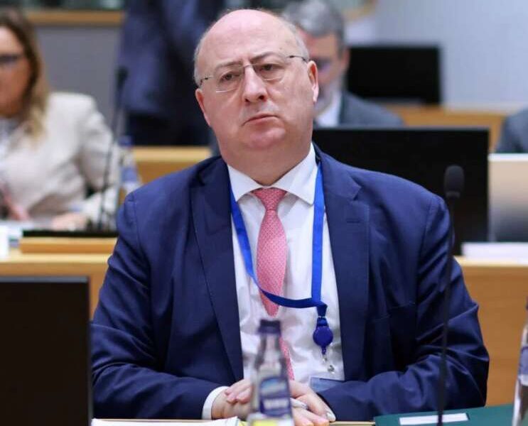 Кози проти лісових пожеж: Португалія хоче грошей ЄС на випас худоби у небезпечних районах