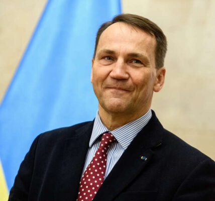 «Ми з Україною»: Сікорський назвав мету свого візиту до Києва під час атак РФ