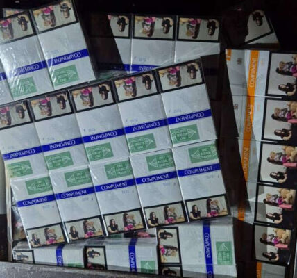 29 тисяч пачок сигарет у «порожній» цистерні: на Закарпатті митники викрили схованку