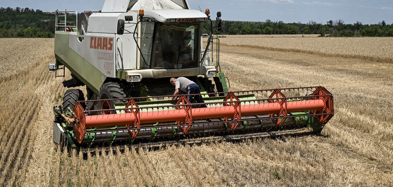 Україна намолотила 33 млн тонн зерна: які культури вже зібрали