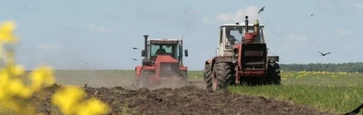 В Україні озимими зерновими засіяли понад 740 тис. га