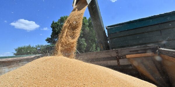 Аграрії України отримають засоби для зберігання врожаю