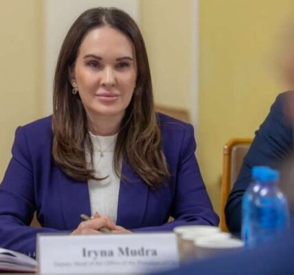 «Почуваюся бомжихою»: ексзаступниця голови ОП Мудра після розмови з Микитасем задекларувала майже 195 тисяч гривень на місяць від КШЕ