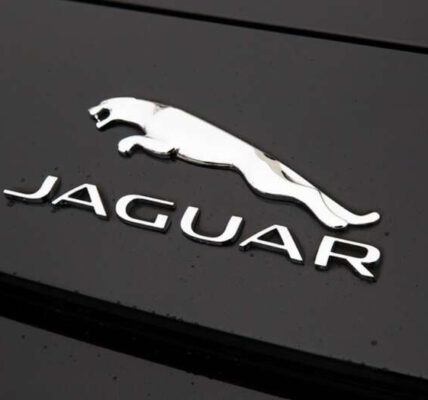 Jaguar за 1,27 мільйона гривень, квартира тещі за 5 мільйонів і бізнес дружини на 10,4 мільйона: що відомо про статки митника Корчаки
