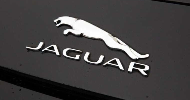 Jaguar за 1,27 мільйона гривень, квартира тещі за 5 мільйонів і бізнес дружини на 10,4 мільйона: що відомо про статки митника Корчаки