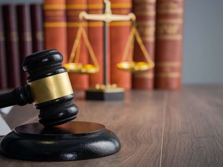 На Чернігівщині засудили чоловіка, який жорстоко вбив власного собаку